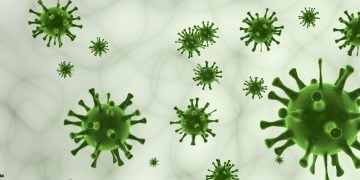 Virüs türleri, virüslerin keşfi