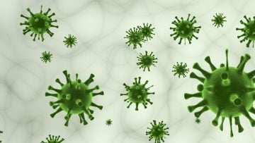 Virüs türleri, virüslerin keşfi